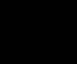 GFEST2015MPUbanner